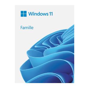 Windows 11 64 bits OEM - KW9-00636