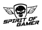spirit of gamer spirit of gamer